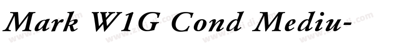 Mark W1G Cond Mediu字体转换